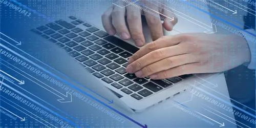 信息技術(shù)服務(wù)逆勢(shì)領(lǐng)漲，新IT持續(xù)引領(lǐng)數(shù)字化破局